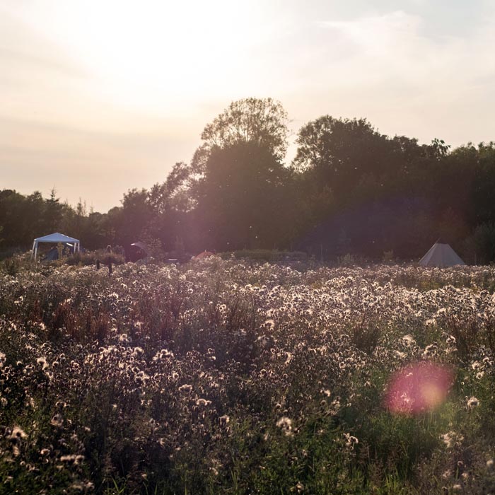 Teltplads i 'Hjertet' af Himmelhaven